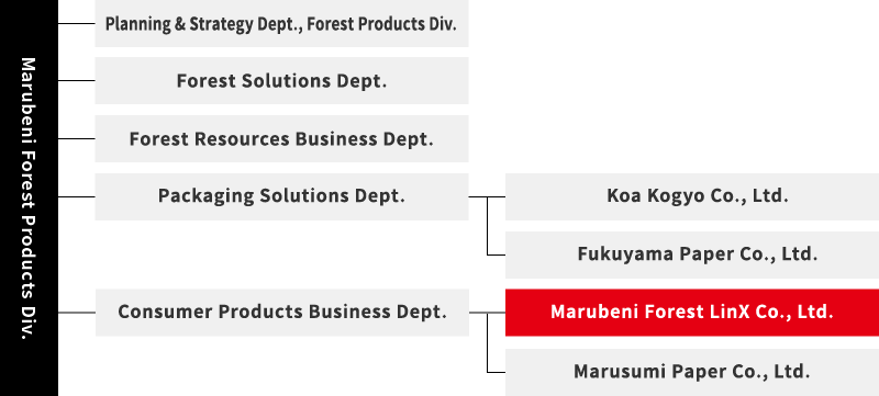 Positioning of Marubeni Forest LinX within Marubeni Corporation's Forest Products Division